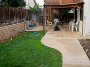 Backyard Lawn Renovation