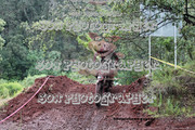IMG-6629