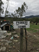 IMG-8287