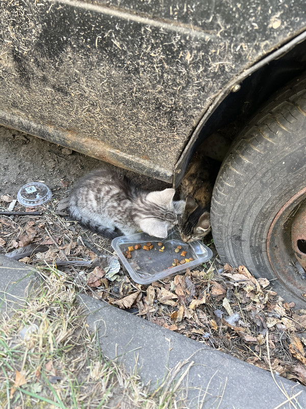 2A338D95-5B1A-4FB6-AF34-3577F0384DC9