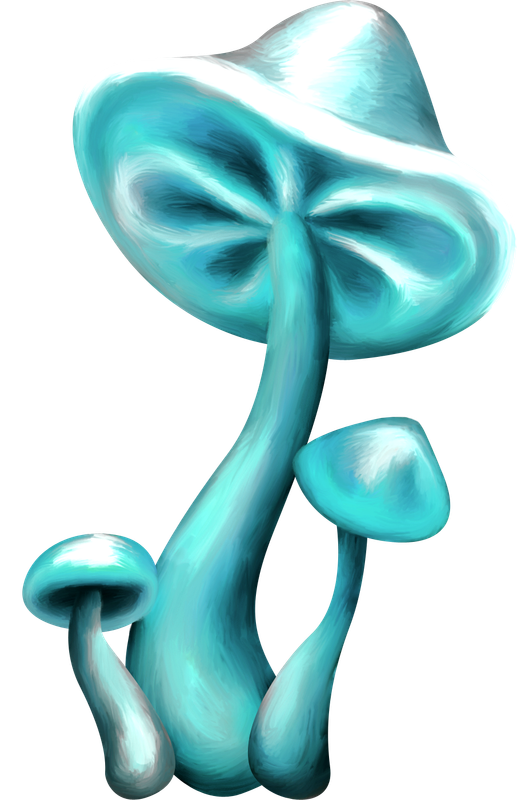 element_ks (81)