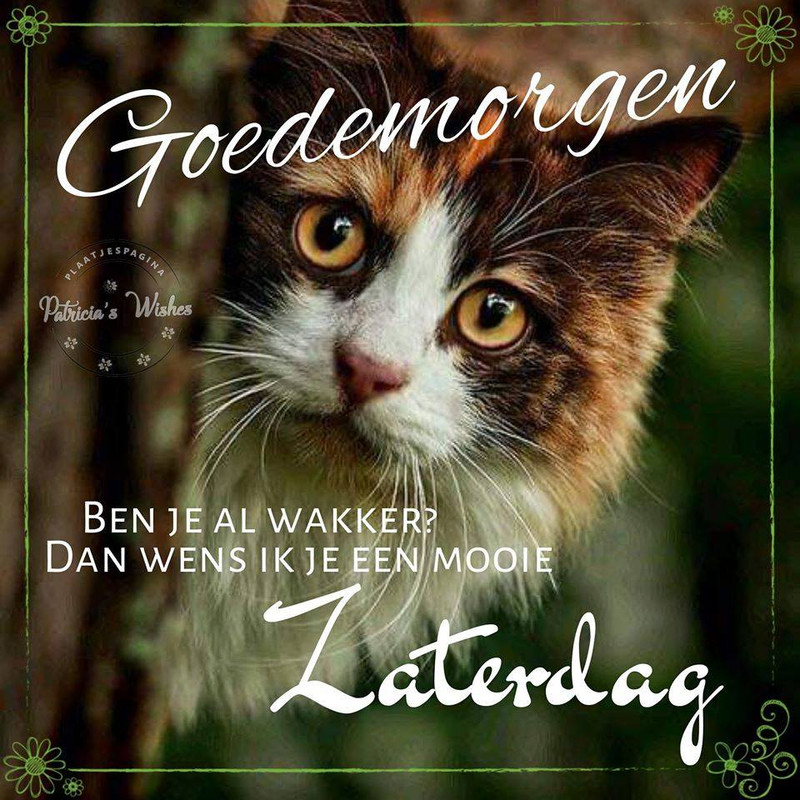 An den Beitrag angehängtes Bild: https://i.postimg.cc/bJ07K11z/88236449-2934461049976323-6404303985074765824-n.jpg