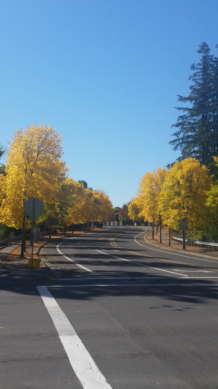 42625718_2546768642005259_6369902834632097792_o (1)