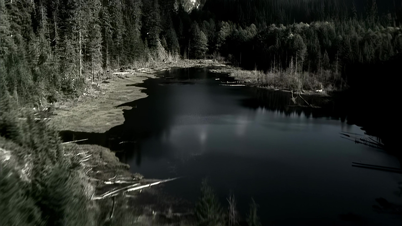 vlcsnap 2026 03 08 20h19m04s591