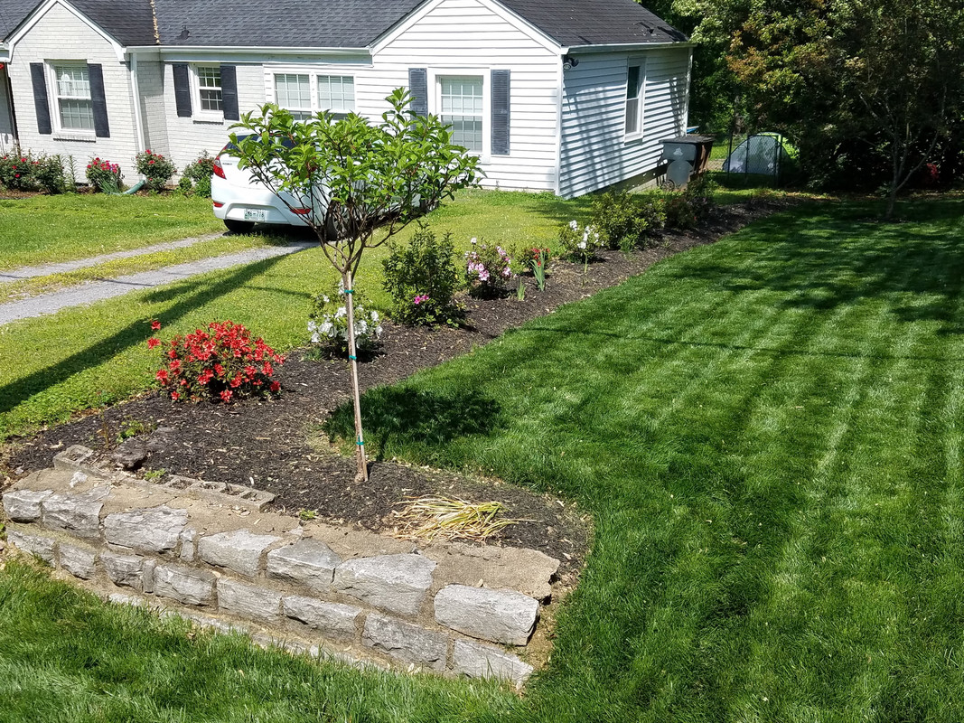 Backyard Dividers