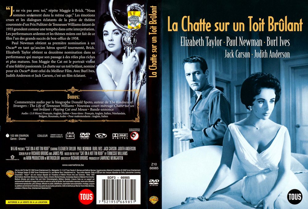Re: Kočka na rozpálené plechové střeše (1958)