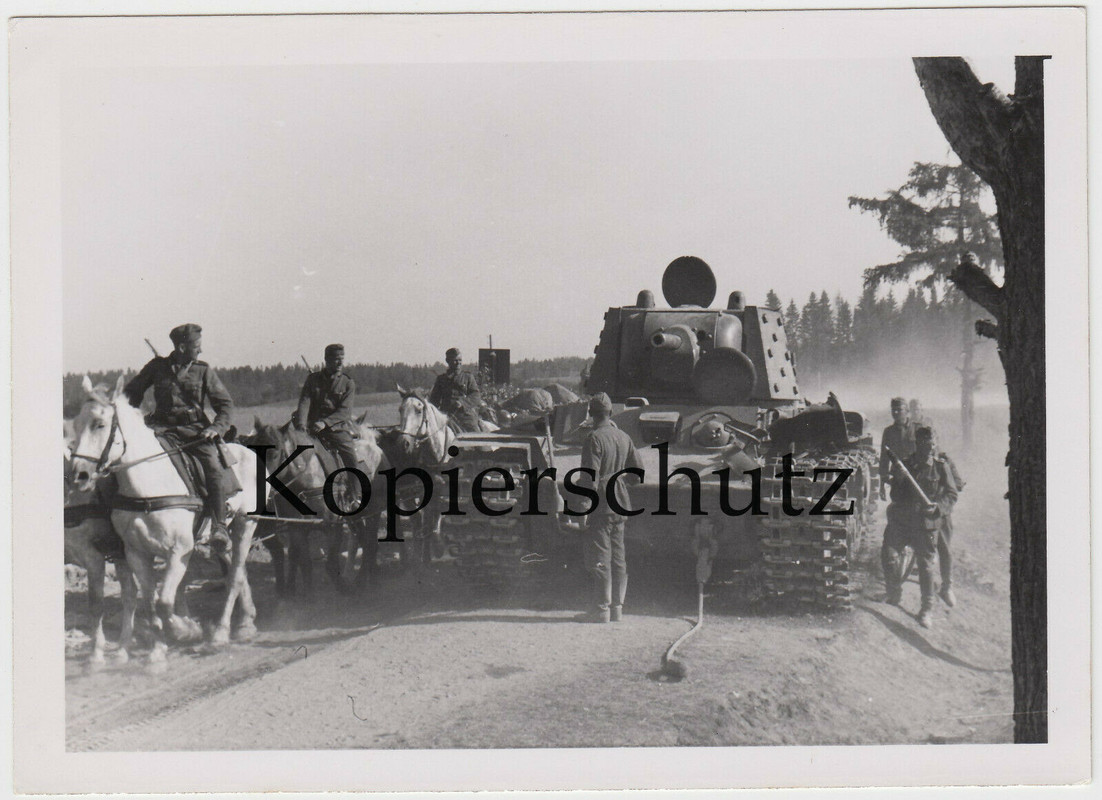 Foto Rußland Vormarsch Wehrmacht Soldat Pferd Beute Panzer KW-1 vor Leningrad