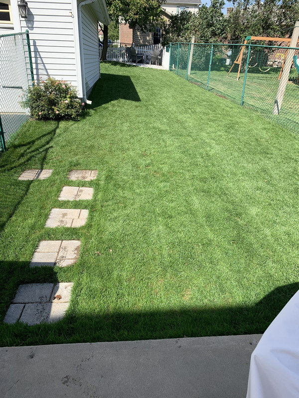 774B2275-3307-4F6B-9224-728267358168