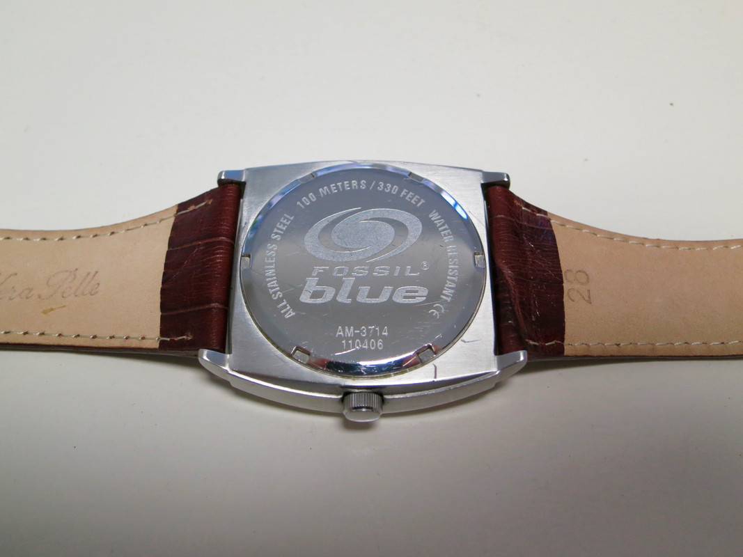 FOSSIL IMG_7281 2