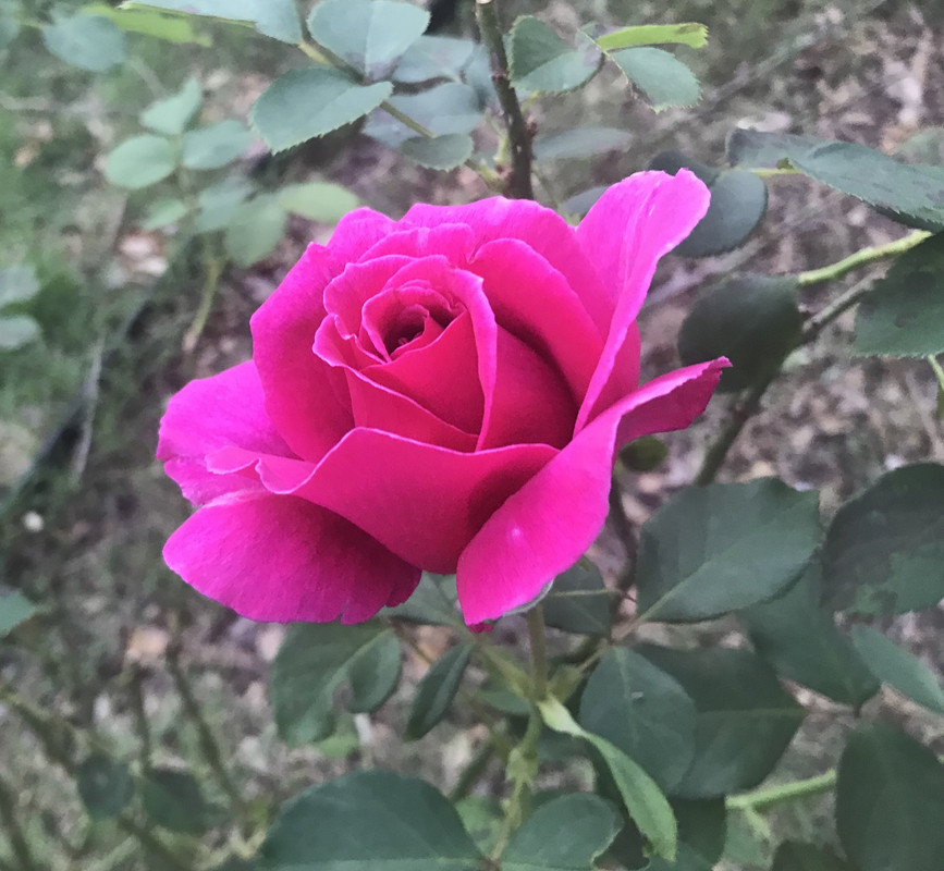 2BA641CB-C1DB-4143-91B4-4069F6D093F2