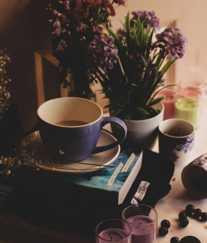 Screenshot_20240529_233540_Pinterest