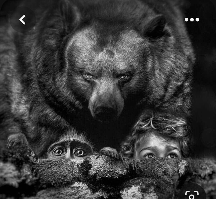 Screenshot_20230606_002015_Pinterest