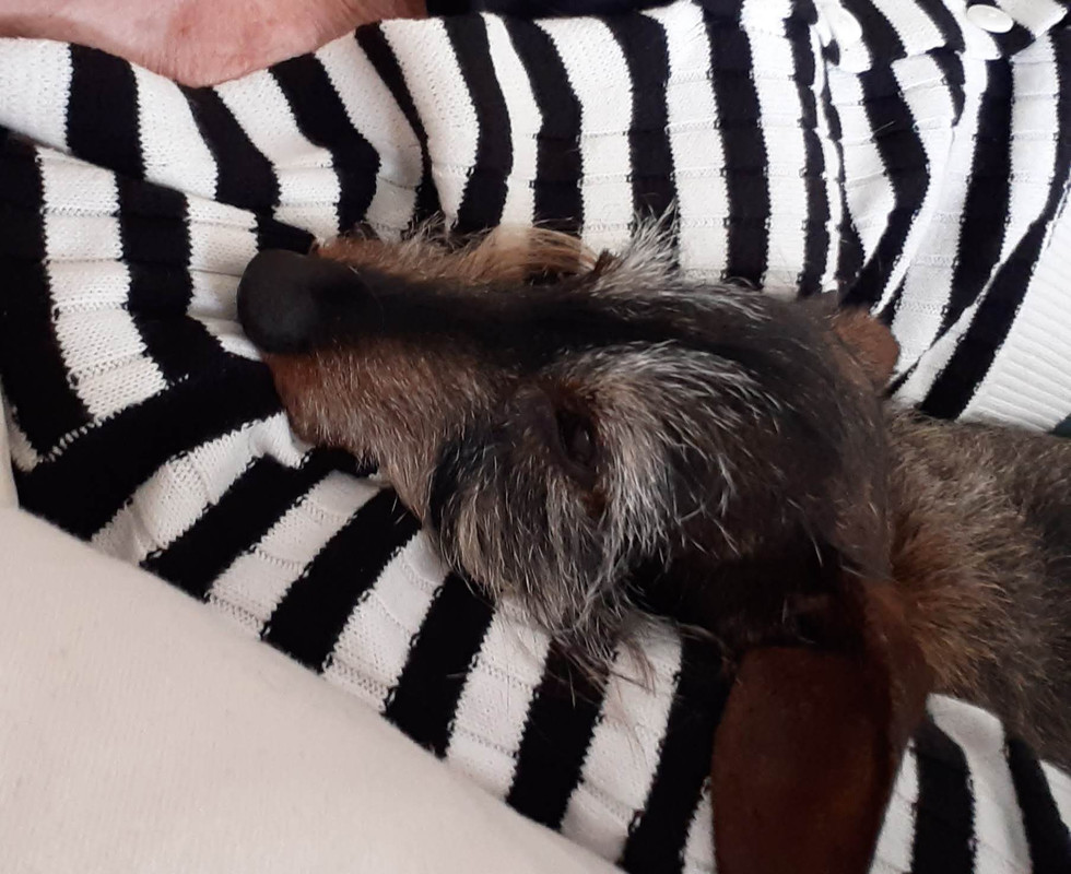 [Image: 20250503-152907.jpg]