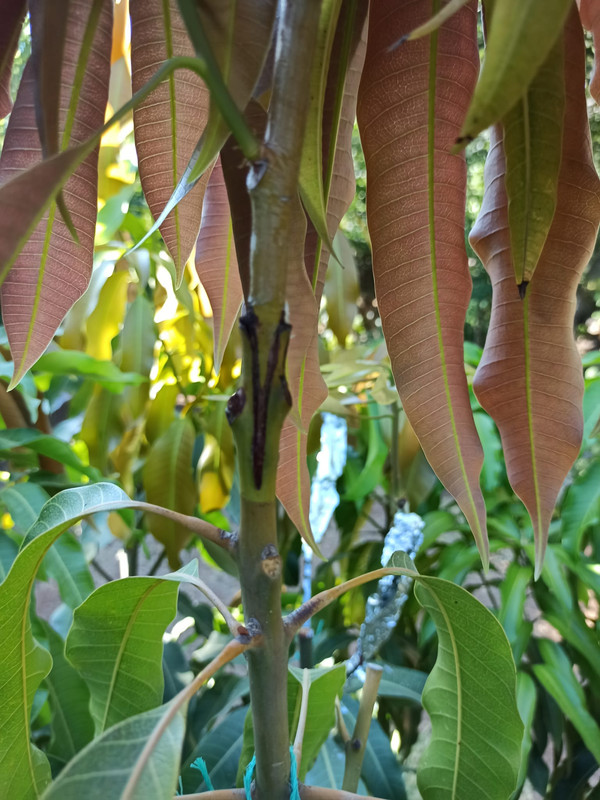 WhatsApp Image 2023-07-25 at 21.59.19 (3)