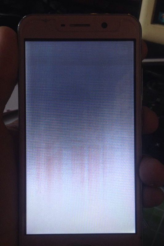 43614861_473951906432959_6290294340195450880_n