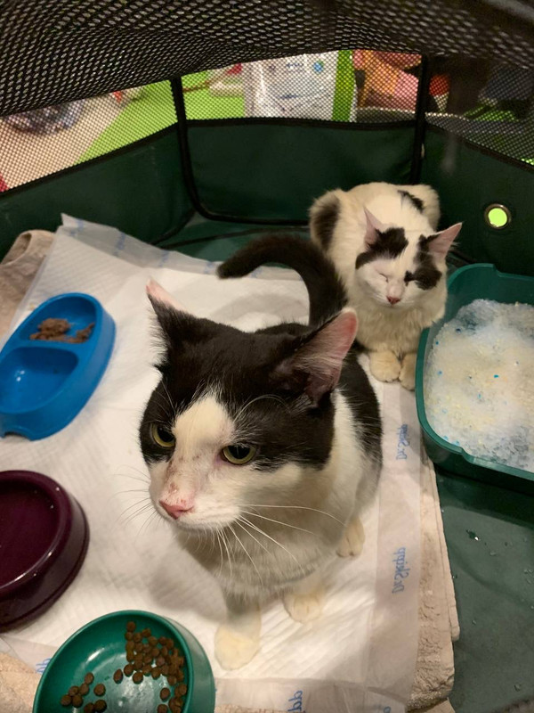 19CA04D1-97E3-415C-BF15-7067DB204FC8