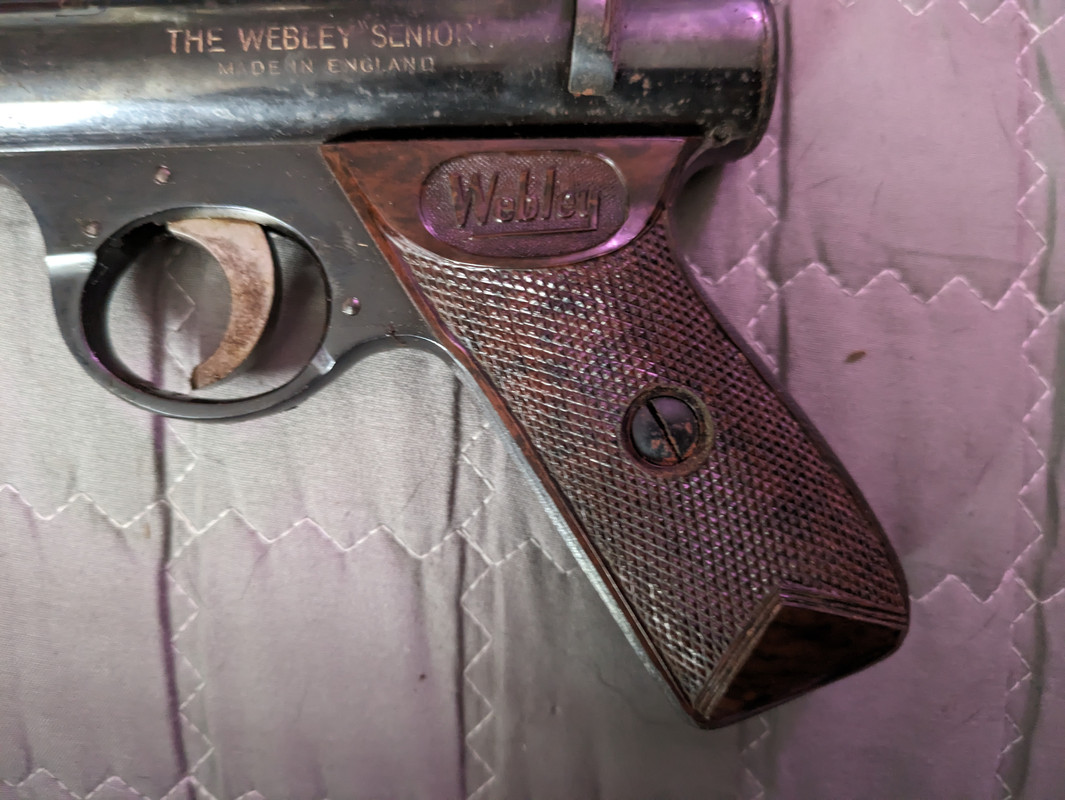 PXL_20230819_073801355