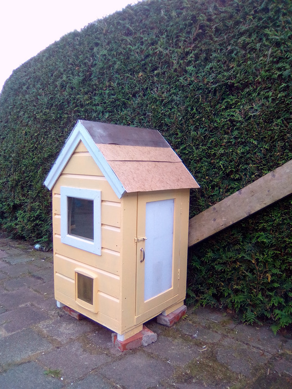 кошачий домик (3)