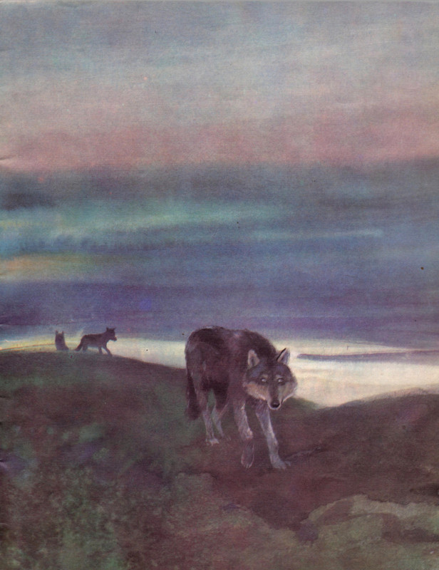 Snegirov-Gennadij-Tungus-i-Vernyj-500756-25