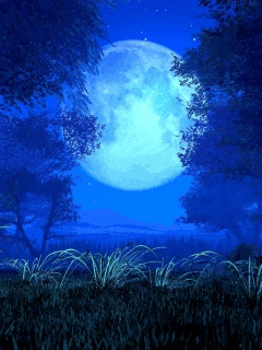[Изображение: fee63d8a5a111526c720042aa2d0426b-w200.gif]