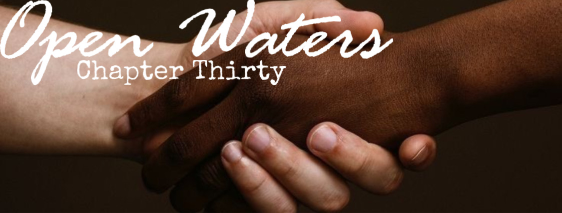 Chapter thirty: A light skinned hand shaking a dark skinned hand. 