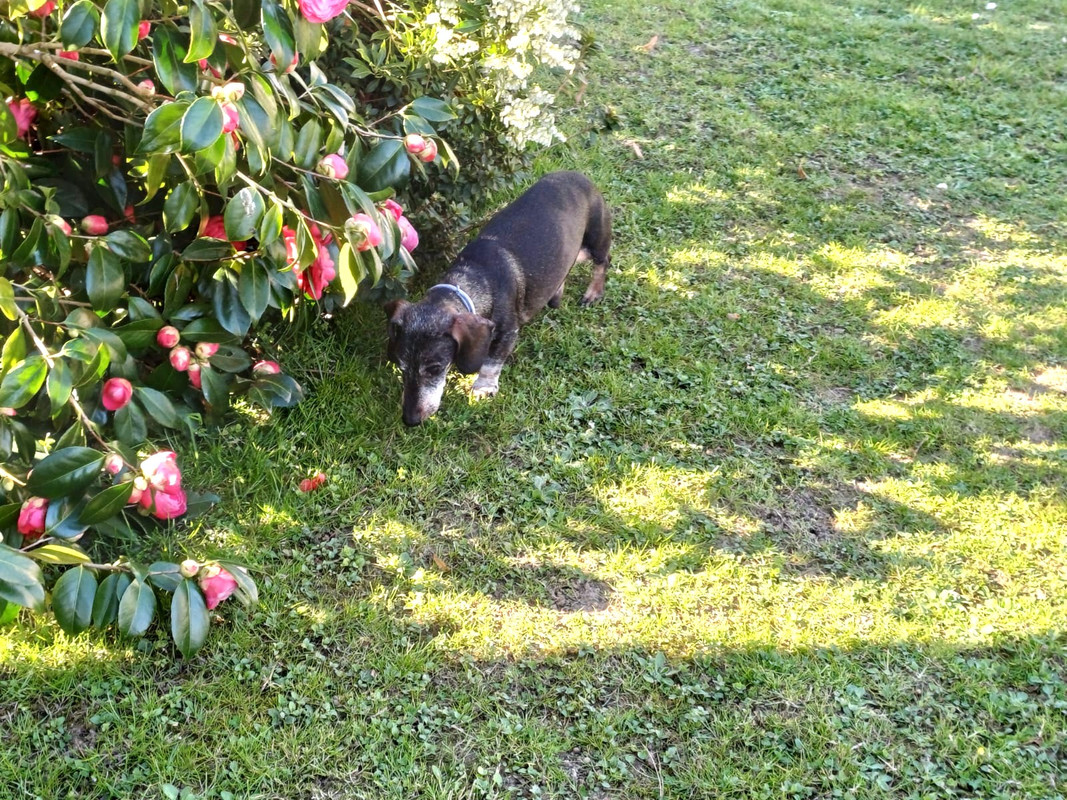 [Image: IMG-2025-04-02-3.jpg]