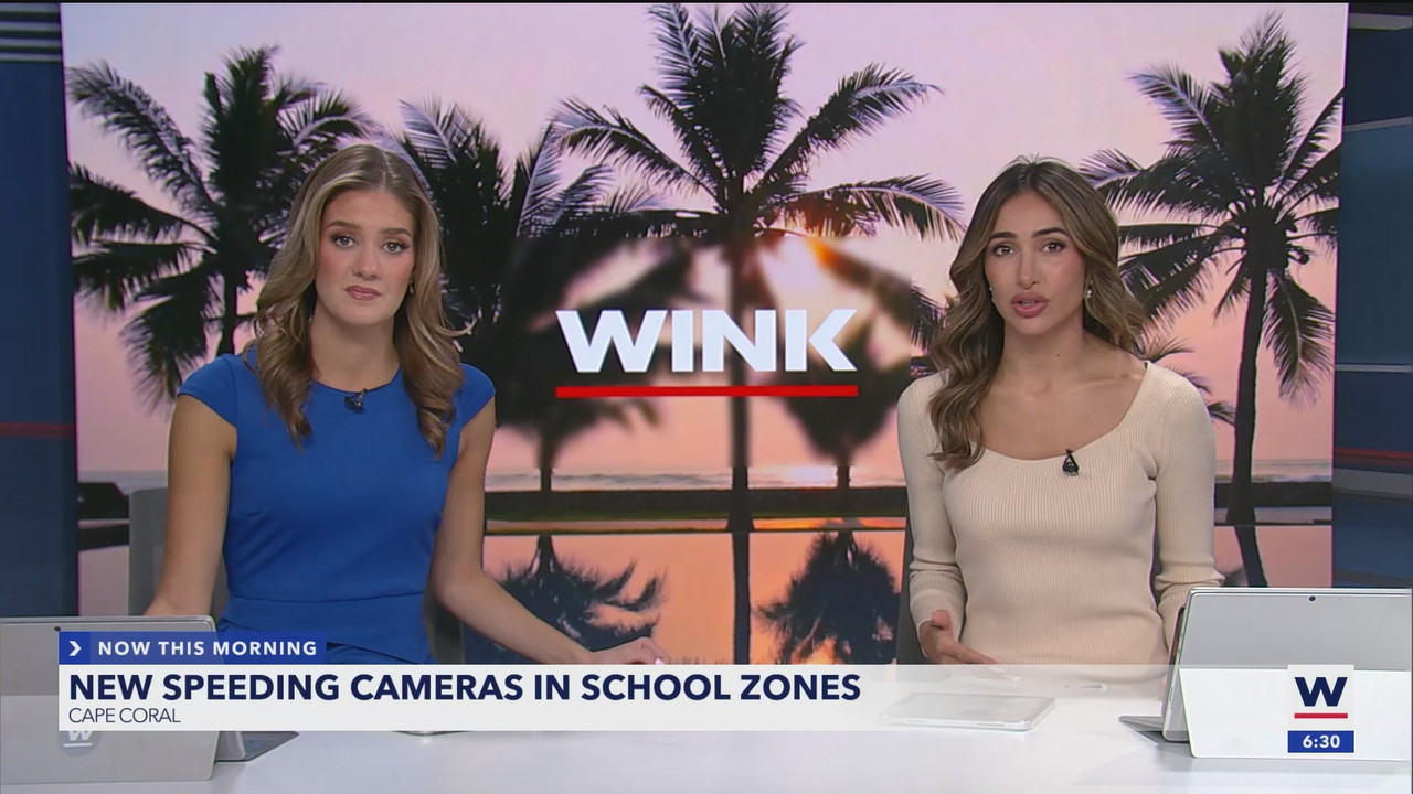 WINK NEWS at 600am Sunday_20250302_11001200.ts_snapshot_31.29.458