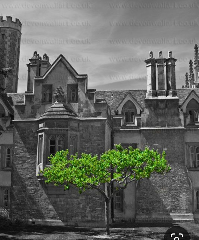 Screenshot_20230416_011439_Pinterest