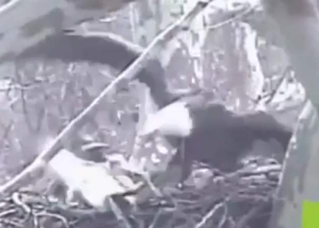 Screenshot_20240627-164617