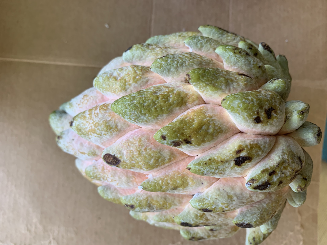 C386FBD0-68E0-47E5-A9BB-687397788E7D