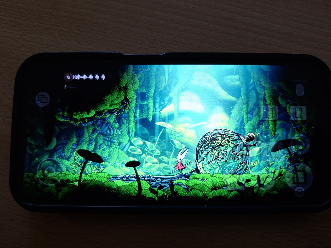 Silksong Screenshot 1