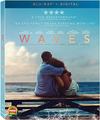 Waves (2019).mkv FullHD 1080p AC3 iTA DTS AC3 ENG x264 - DDN