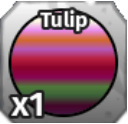 Tulip
