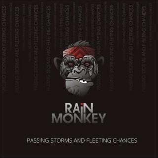 Rain-Monkey.jpg