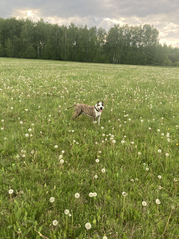 F04982D4-D64F-40D9-B16A-E5AA02CA4318