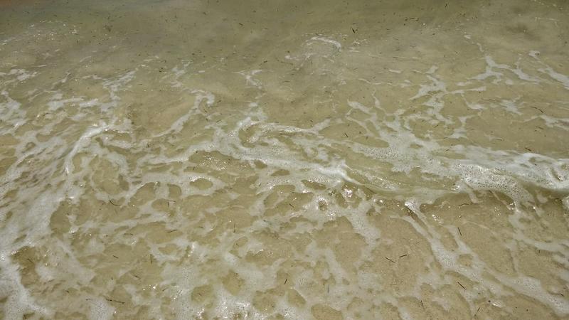 Playas sin Algas en Riviera Maya (Sargazo) - Foro Riviera Maya y Caribe Mexicano