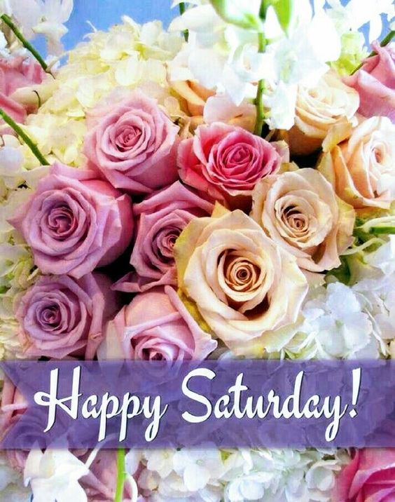 Good Morning, Good Afternoon, Good Evening, Good Night, Good Day! (#2)