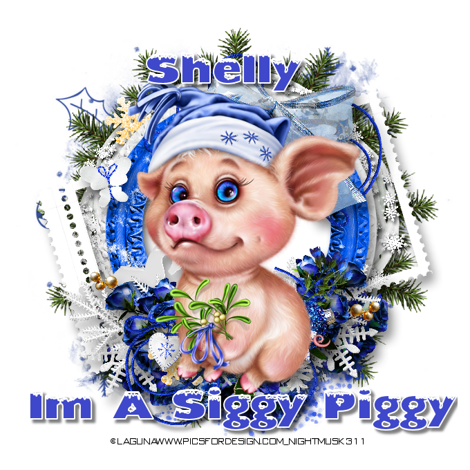 piggybluesiggyshelly-vi
