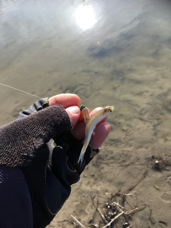 FE84FABE-C8FF-4C50-98B7-C9E3D2AE0D37