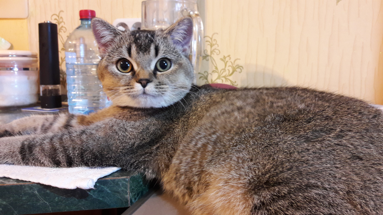 2018-06-16 16-57-56 (1)