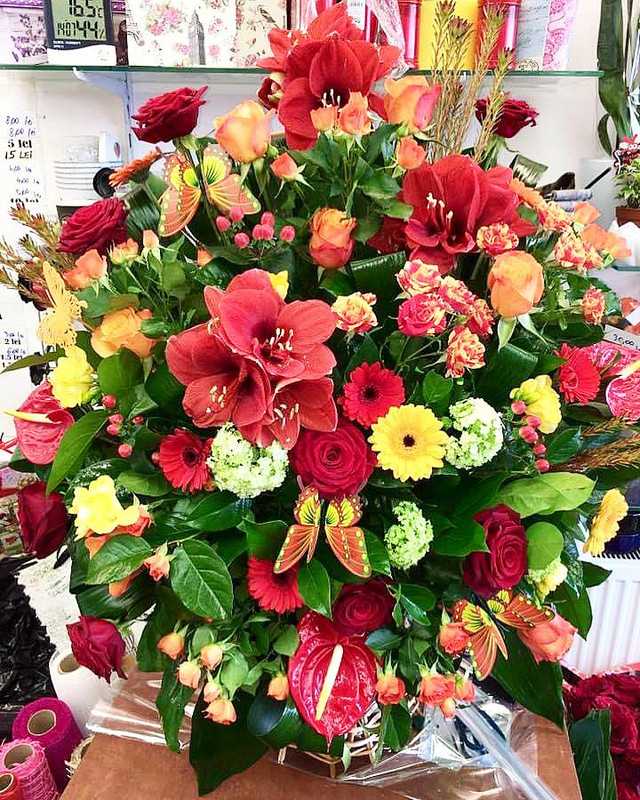 Cosulet Cu 101 De Fire Mixte