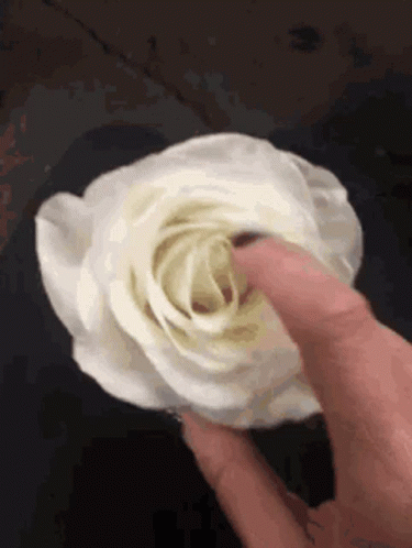 finger-flower.gif