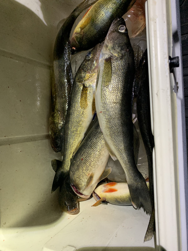 9791DCC4-86C4-4F1B-B4F7-54742FE1ACD7