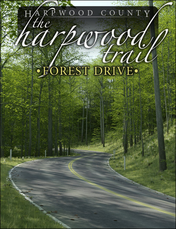 the harpwood trail forest drive 00 main daz3d