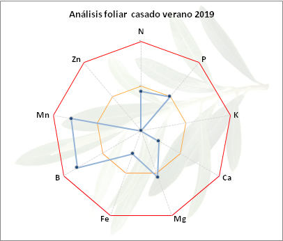 Análisis foliar julio - casado Arnedo (La Rioja) Casado-verano-2019