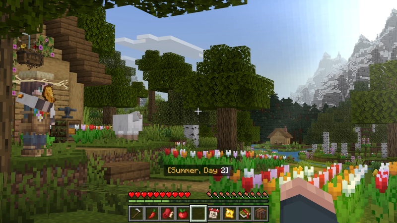 Image 5