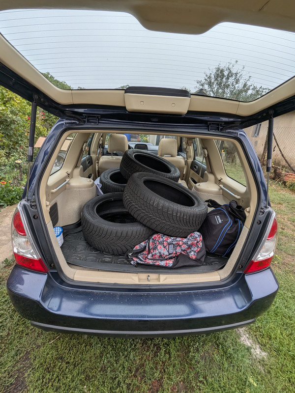 PXL_20251004_072047617