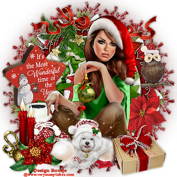 Welkom bij powerpoint Roosje