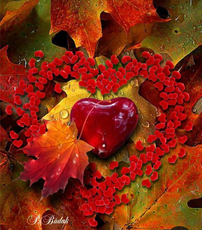 Screenshot_20240210_222416_Pinterest