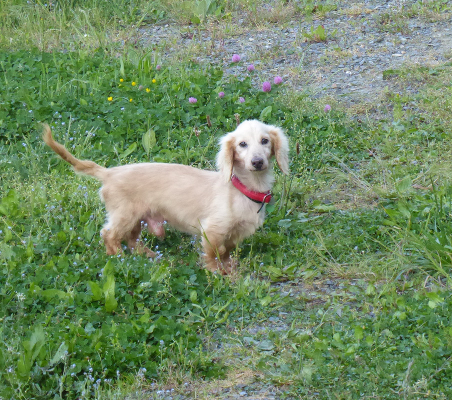 [Image: P1040952.jpg]